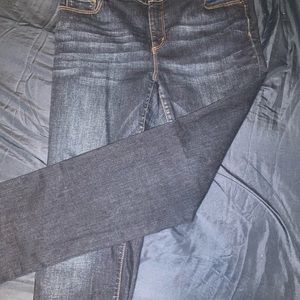 Ann Taylor Loft Jeans